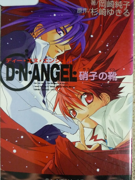 DNANGEL　硝子の靴　岡崎純子(著)